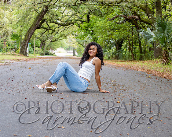 L_Sims25_1044