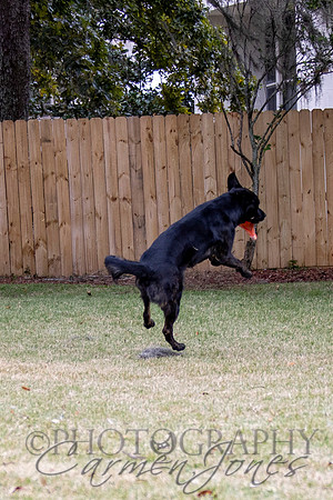 timmons_IMG_095