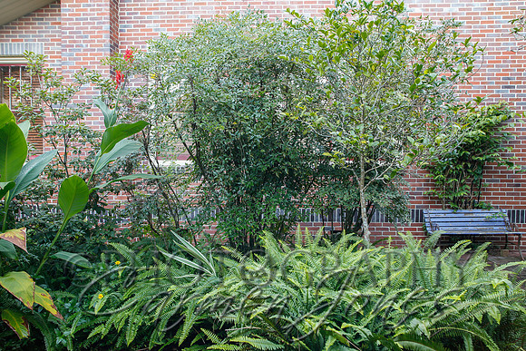 averyst__mg_0023