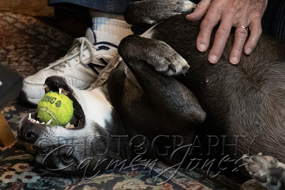 jim&missy__0033