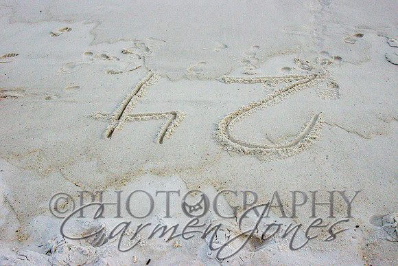 violetIMG_1089