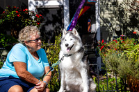 jazzy_IMG_0902