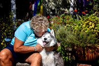 jazzy_IMG_0915