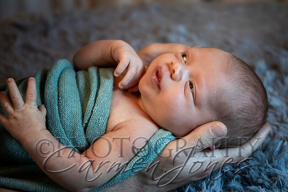 bryant_2025_IMG_0061