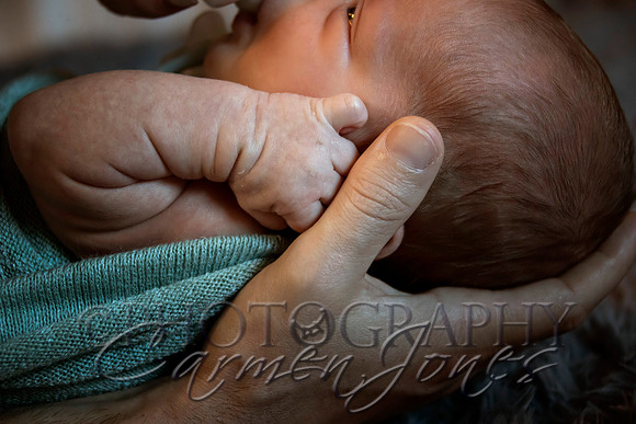 bryant_2025_IMG_0064