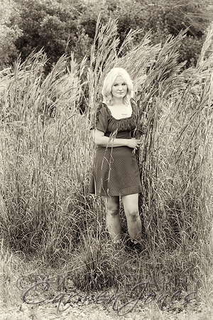 IMG_0595