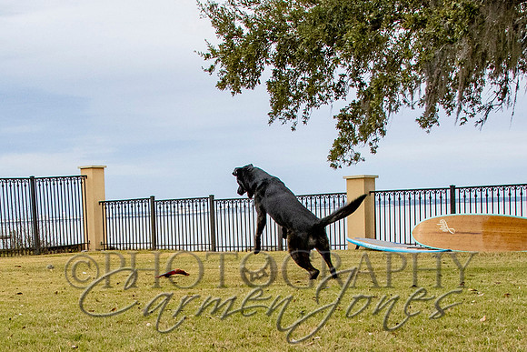 timmons_IMG_106
