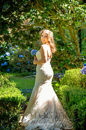 ap_IMG_0493