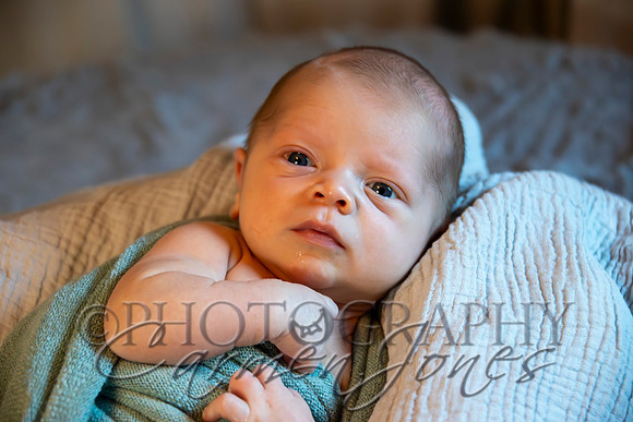 bryant_2025_IMG_0042