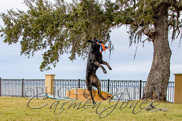 timmons_IMG_131