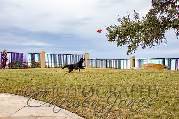 timmons_IMG_126