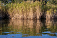 baptism_IMG_0005