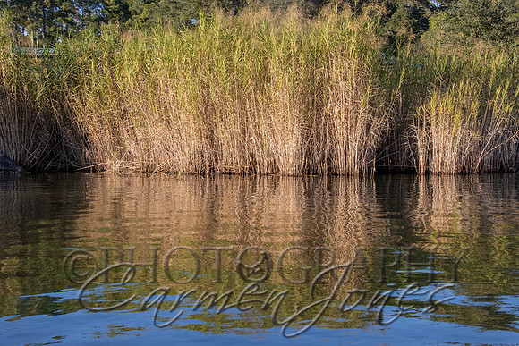 baptism_IMG_0005