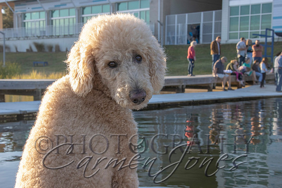 baptism_IMG_0027