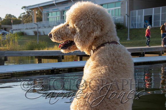 baptism_IMG_0029