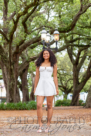 L_Sims25_1455