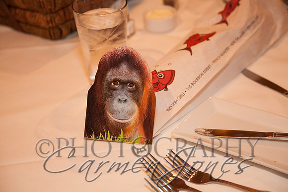 R&Bwed0272