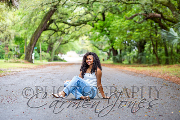 L_Sims25_1429