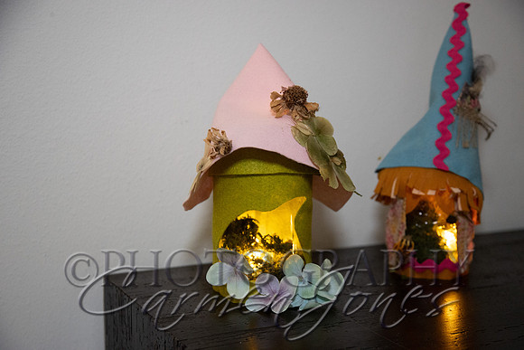 sprout_3_IMG_0014