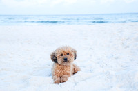 addie_26_IMG_0064