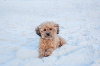 addie_26_IMG_0062