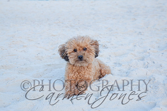 addie_26_IMG_0062