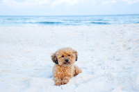 addie_26_IMG_0065