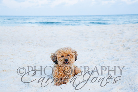 addie_26_IMG_0065