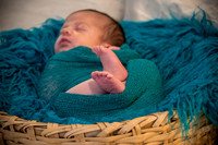 ivy_newborn_IMG_0215