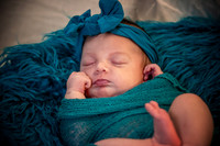 Ivy Amelia