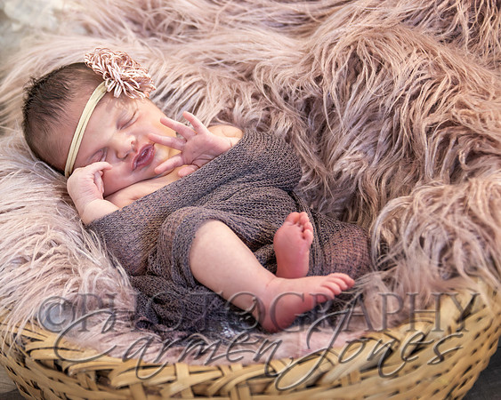 ivy_newborn_IMG_0243