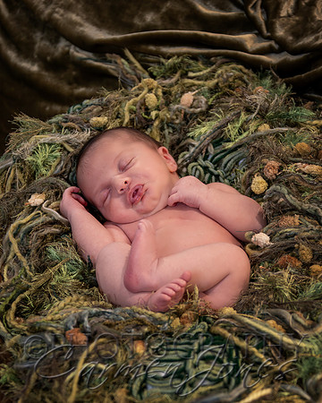 ivy_newborn_IMG_0301