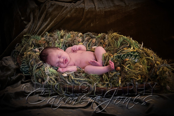 ivy_newborn_IMG_0293