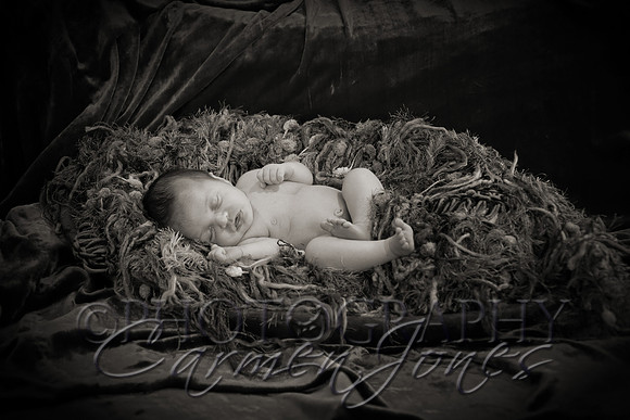 ivy_newborn_IMG_0293sepia