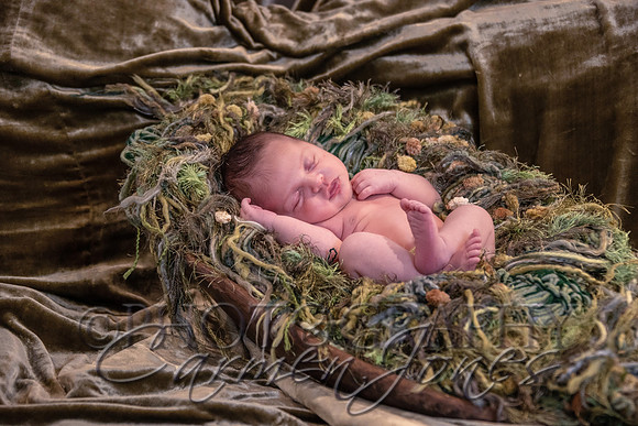 ivy_newborn_IMG_0309