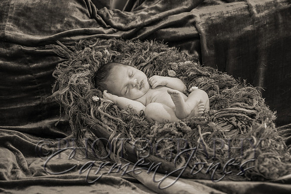 ivy_newborn_IMG_0307