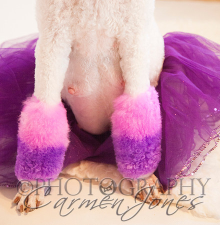 maternity addelynnIMG_9358