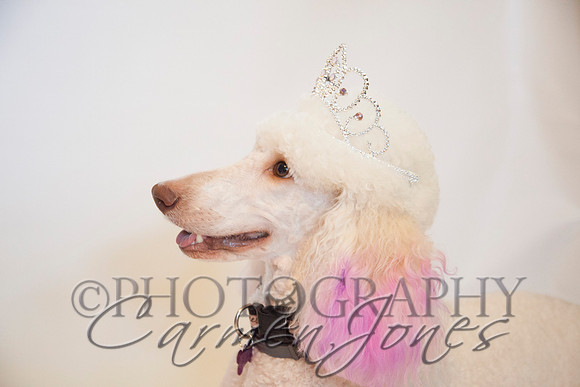 maternity addelynnIMG_9284