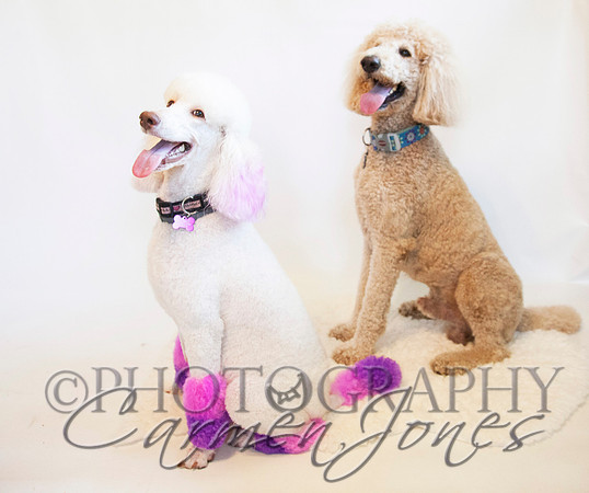 maternity addelynnIMG_9394