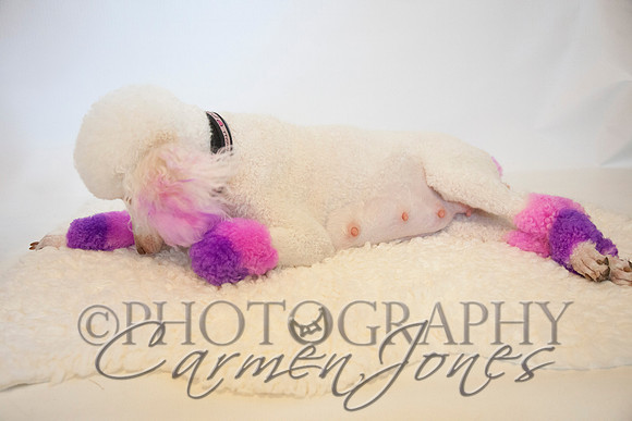 maternity addelynnIMG_9314
