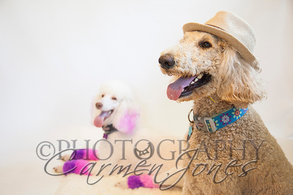 maternity addelynnIMG_9406