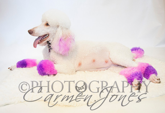 maternity addelynnIMG_9303