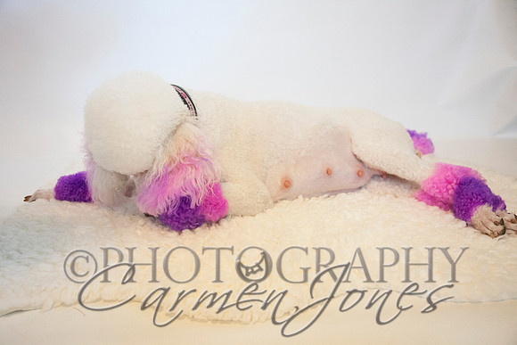 maternity addelynnIMG_9315
