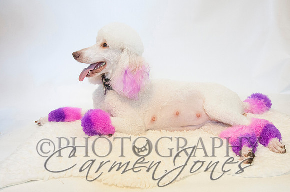 maternity addelynnIMG_9305