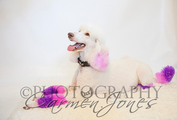 maternity addelynnIMG_9326