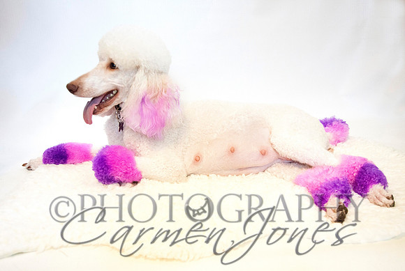 maternity addelynnIMG_9301