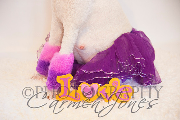 maternity addelynnIMG_9364