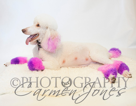 maternity addelynnIMG_9304