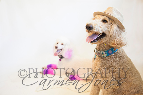 maternity addelynnIMG_9404