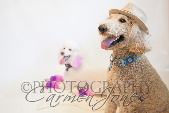 maternity addelynnIMG_9405